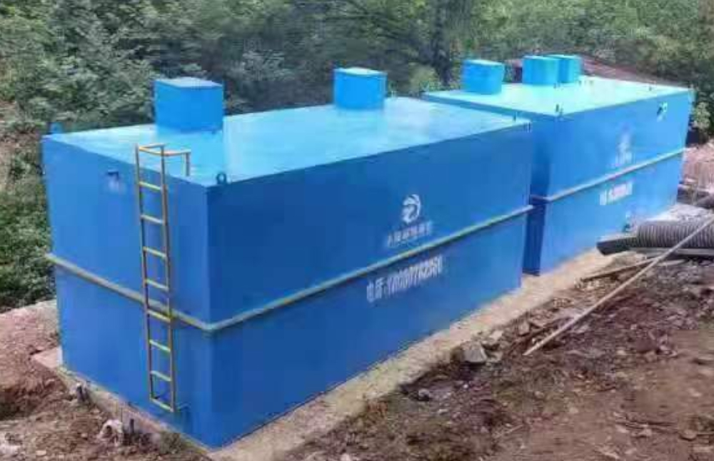 攀枝花市东区银江镇流沙坡 200td 生活污水 AO+过滤器工艺